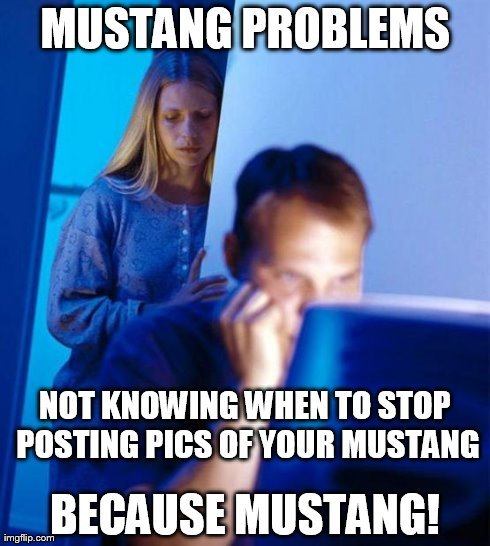 BecauseMustang's tweet image. #MustangProblems #BecauseMustang