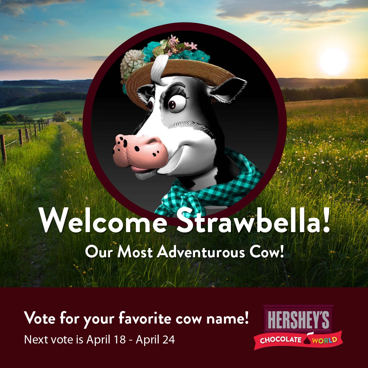 chocolateworld's tweet image. May we present Strawbella, our 3rd cow! Vote now for the 4th #ChocolateTour Ride cow name. bddy.me/1S5J2vX