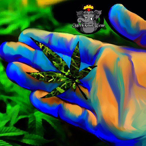 malatimeeksona's tweet photo. #meeksonawear #clothingline #grass #marajuana #420 GreenLEaf #grassprint #graphicdesign #commingsoon https://t.co/kluUgvHDMO