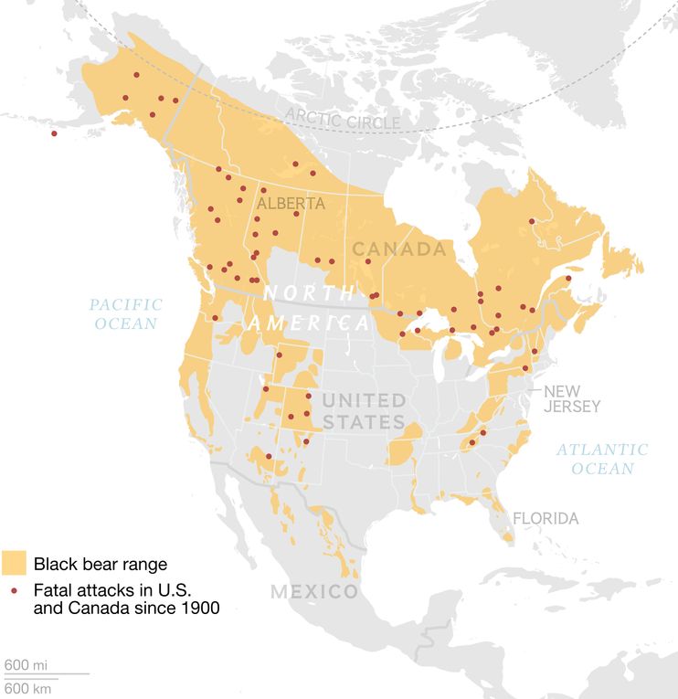 Magnificent_Map's tweet image. Black Bear attacks in North America.