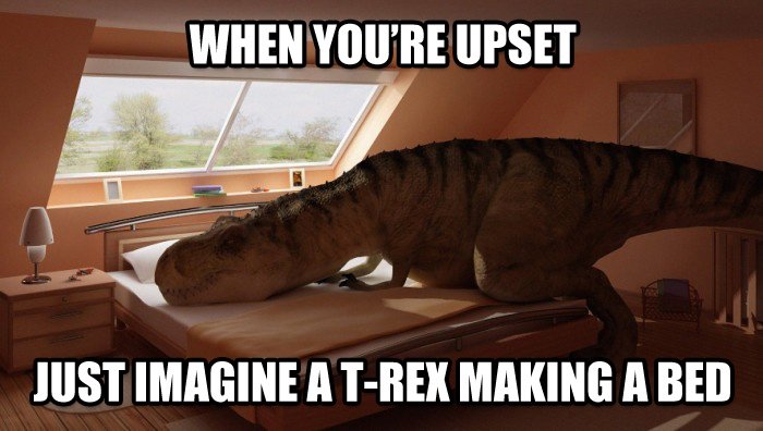 roararex's tweet photo. Stay positive #MotivationMonday https://t.co/GytiKHzQTH