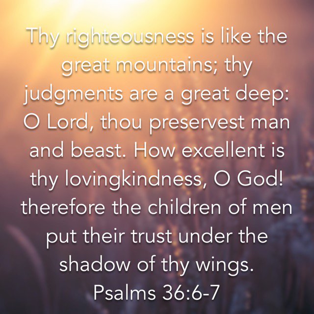 Jacqueline K tweet media