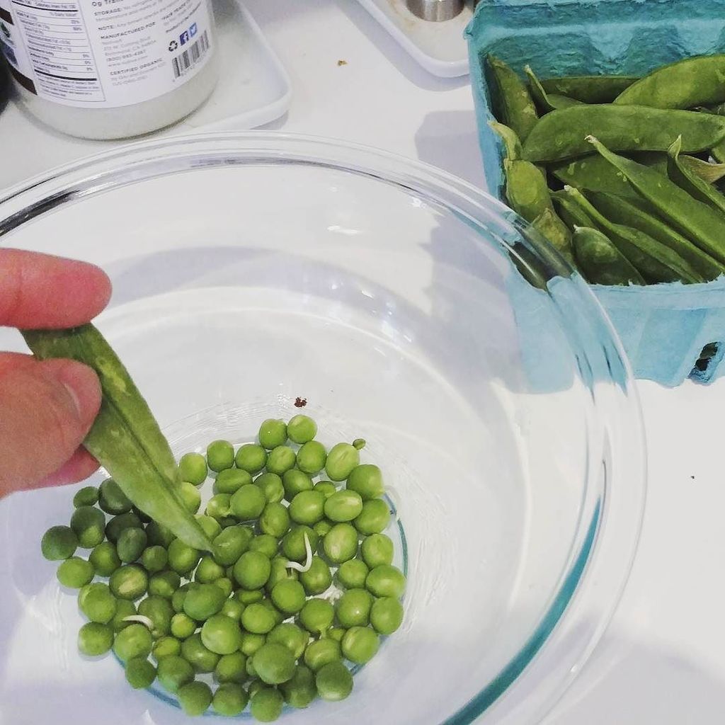 yumamifood's tweet photo. Fresh Peas from the pod, perfect sweet foil for Edamame and Wasabi #yumami #godip #fresh
… https://t.co/lhN9tLqawJ https://t.co/EtkrMqpBek