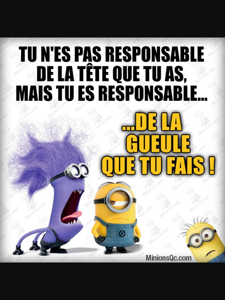 Blague De Minion T Co Vwsf1pylzo Twitter