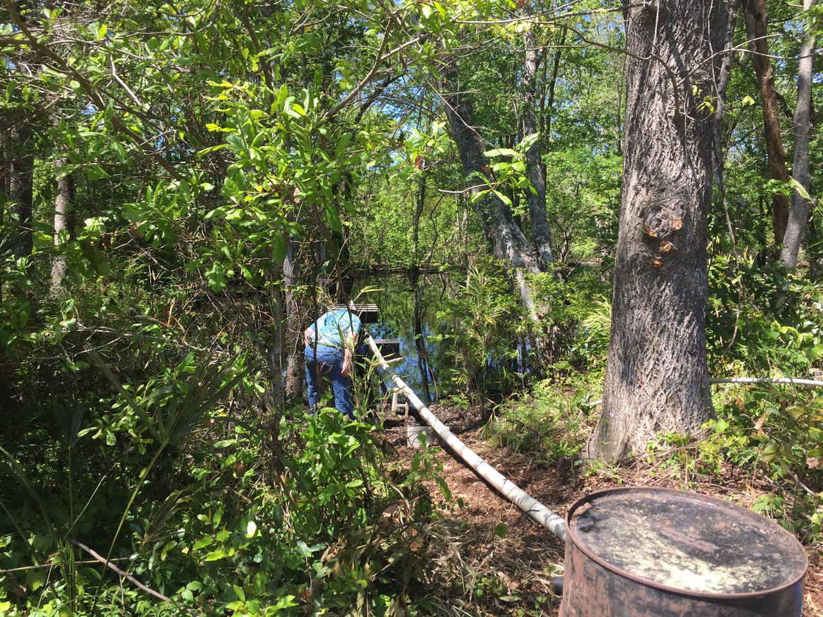 StacyJacobsonTV's tweet photo. Proof you can find news anywhere: I'm back @ChasTeaPlant today, this time for a story! @jtighe08 #alwaysworking4you https://t.co/37PUuxZ0PJ