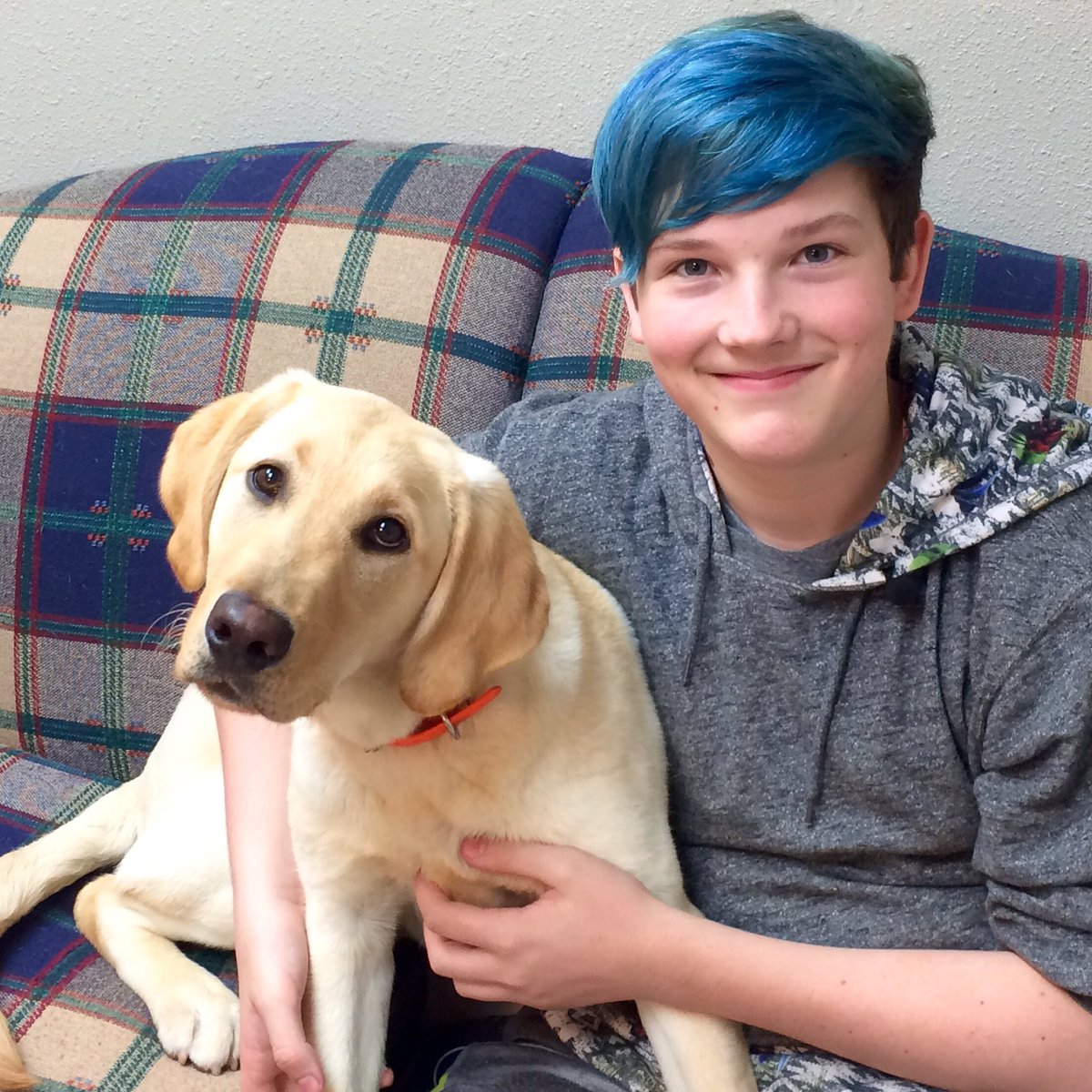 Axel, #Diabetes Alert #Dog, returns for training visit.  See his progress @ 5pm, <a href="/weartv/">WEAR ABC 3</a> #Pensacola <a href="/mopicer/">Ray Turner</a> #C3N