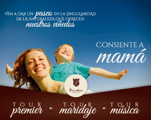 Consiente a mamá
Reserva un Tour por nuestros viñedos
Tel. 4422710760