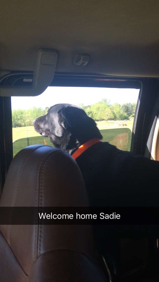 Got my main partner in crime back yesterday