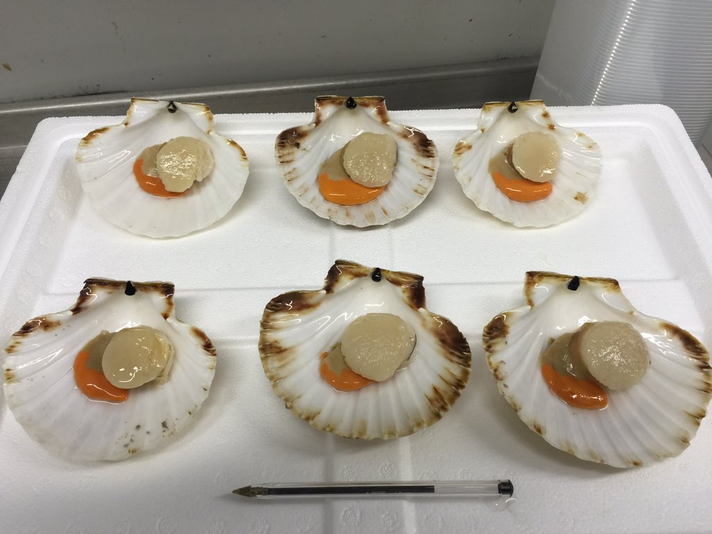 Lovely half shell scallops, DM for more info