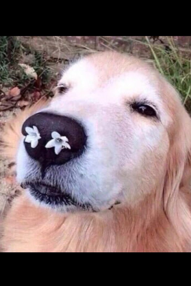 CgWBW8fWEAE-1VG.jpg CgWBW8fWEAE-1VG.jpg