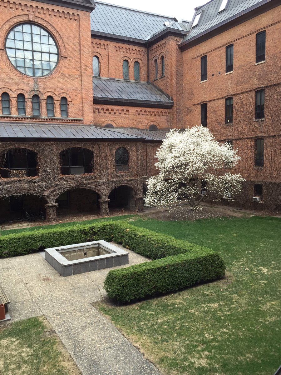 PrezHemesath's tweet photo. Spring at SJU: the magnolia in the Quad courtyard is an early bloomer and reminder of the beauty of our campus. https://t.co/SZIuapouka