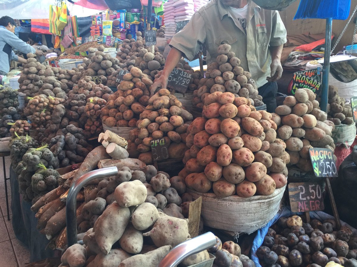 AisleAndWindow's tweet photo. DID you know that #Peru has over 3000 types of #potato’s and over 500 types of #fruit? https://t.co/hcGfFab8qE https://t.co/SIoEQ8hCxI
