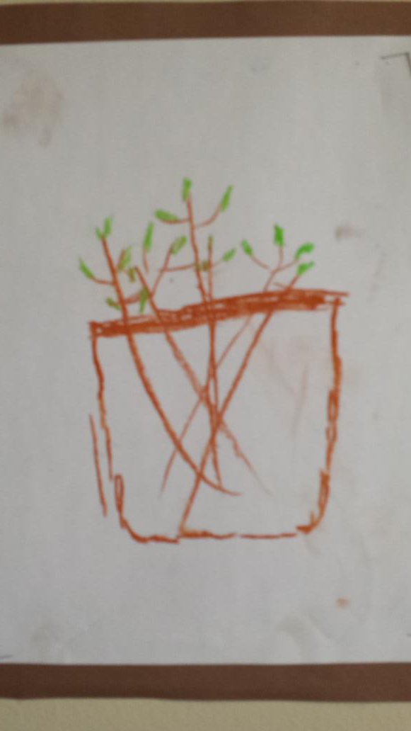MyNssacksen's tweet photo. Ss drawing their predictions of what blossoms will look like. #fdk #tvdsb #springpredictions #bringingoutsidein https://t.co/D7Wg0DjO3t