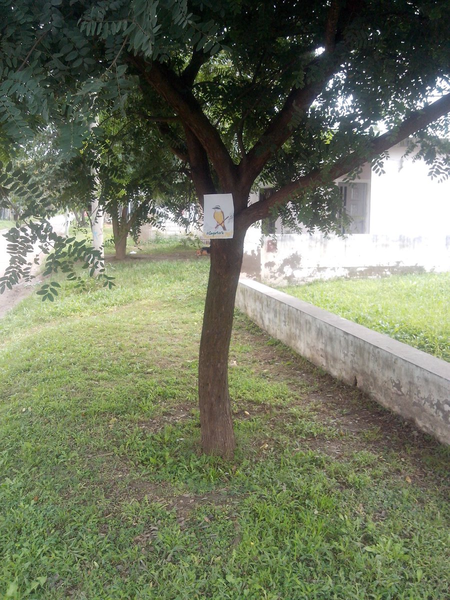 Hoy #compartiarte y deje un pajarito en un árbol <a href="/eddingArg/">edding Argentina</a>  #Dejalosalir #Embajadoresedding #LuchoLuna