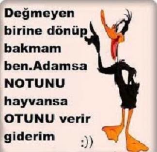 ceylin dalgar (@ceylin_dalgar) on Twitter photo 