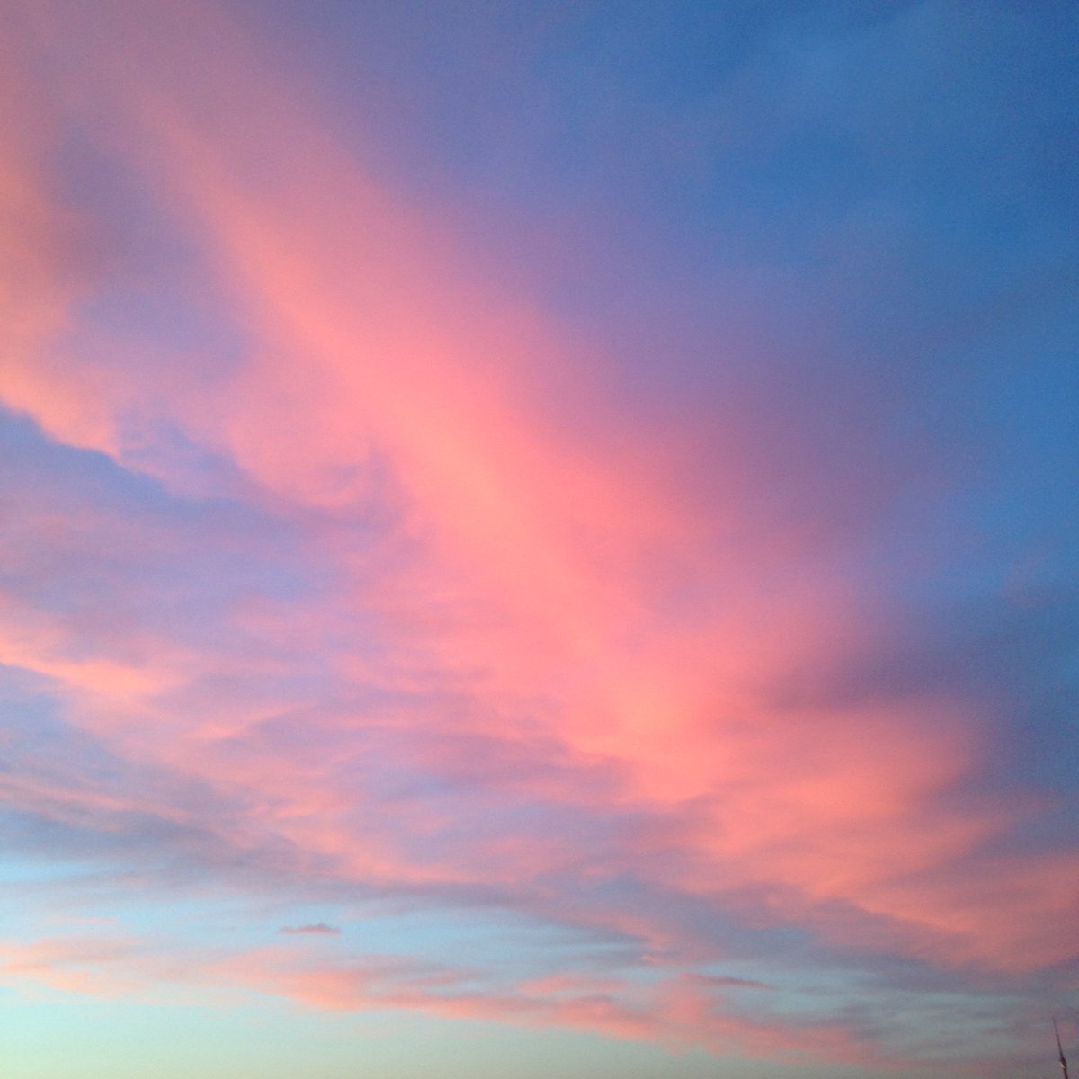 moonywait's tweet image. 🌅