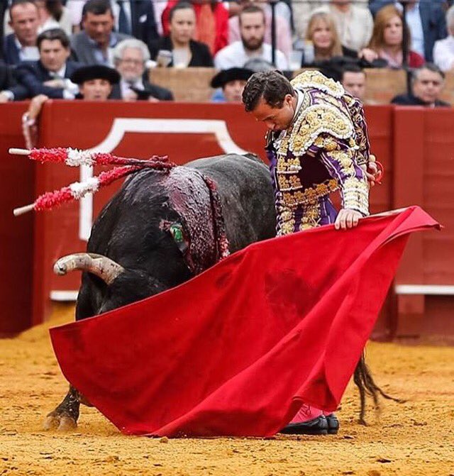 RRRafaelillo's tweet photo. #SEVILLA #MIURA #RAFAELILLO https://t.co/XQQxcyANqi