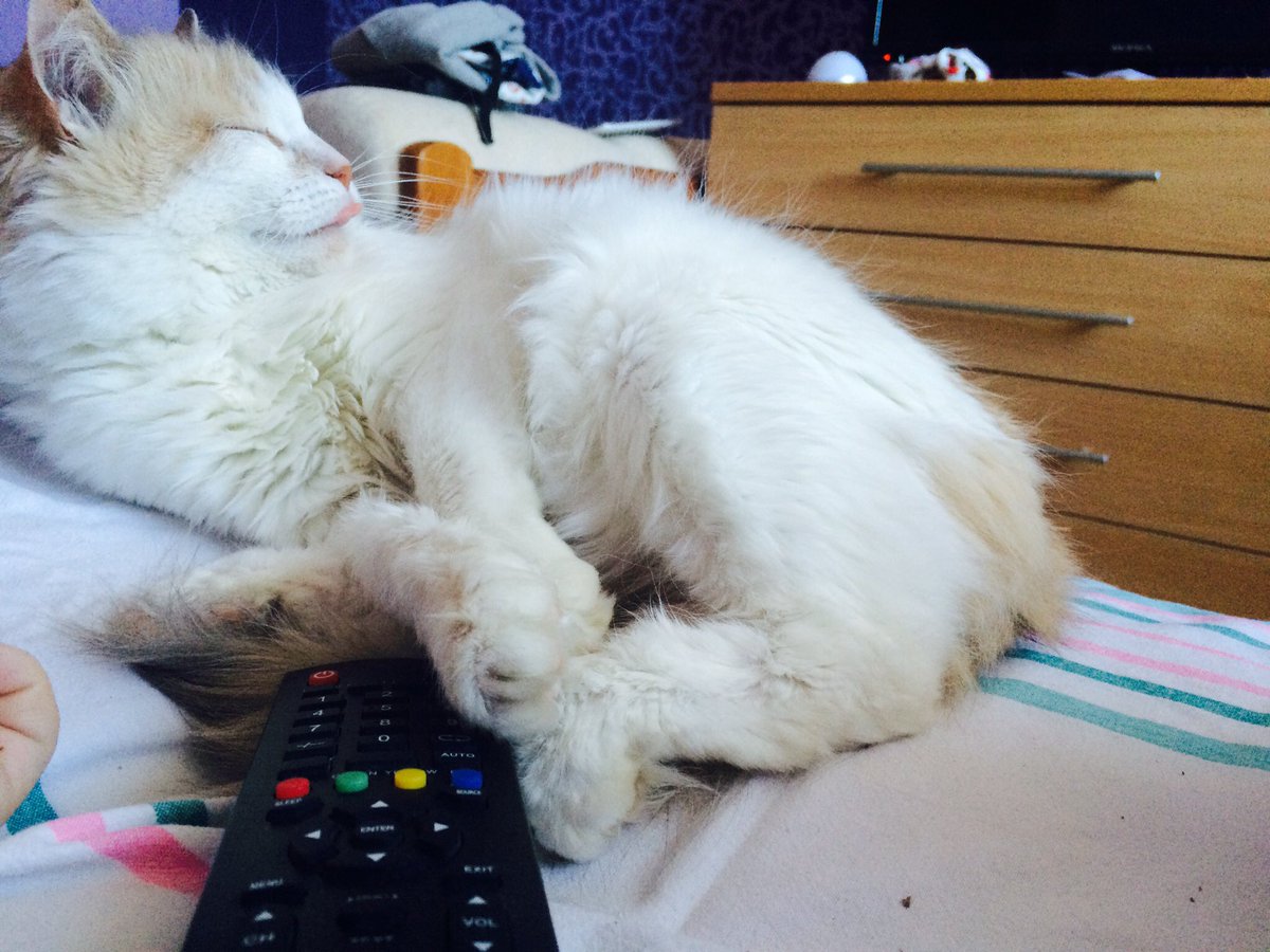 Meow_04's tweet photo. как же быстро летит время, прошло уже 10 месяцев💔😭 https://t.co/vuwvxgtsjk