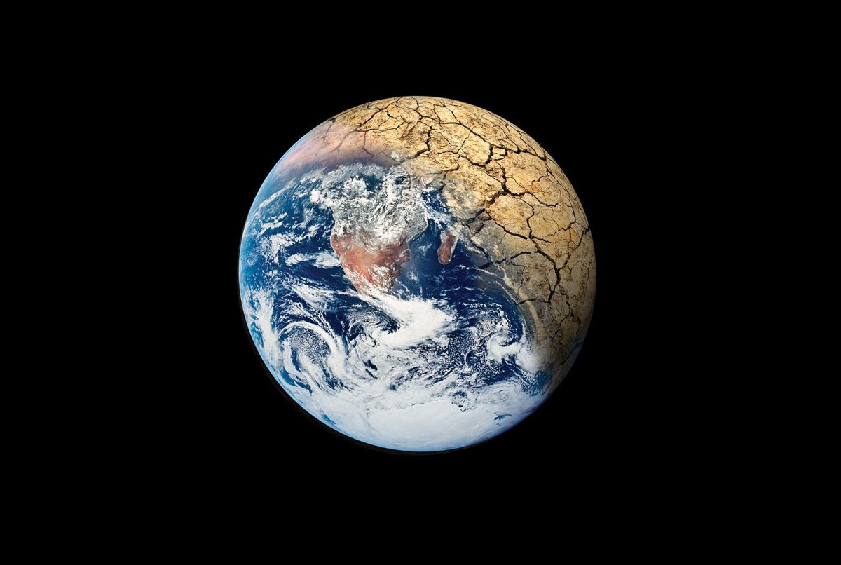futurism's tweet photo. Here's What The Greatest Minds In the World Have To Say About Humanity's Future https://t.co/yQk3ygtk3u https://t.co/lcw11mj8j3