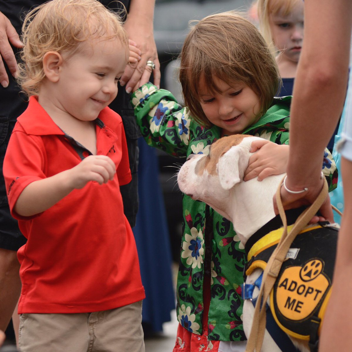 HumaneRescue's tweet photo. #AdoptForceOne will be at @UnleashedPetco at the Navy Yard on Saturday from 12 pm-3 pm! https://t.co/rtefsqdbn3 https://t.co/wiwn0YDt1a