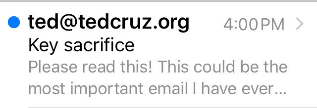 Olivianuzzi's tweet image. meet me in Central Park at dusk. bring two and a half virgins and one bongo drum. tell no one.