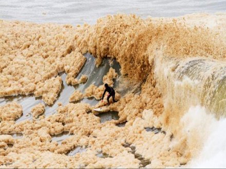 Stormy seas serve up grande surf lattes w/ extra froth - Latest #OceanOddities by Chris Borg surfl.in/1Sqtvcl