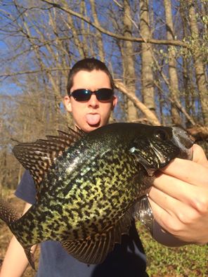 Black Crappie