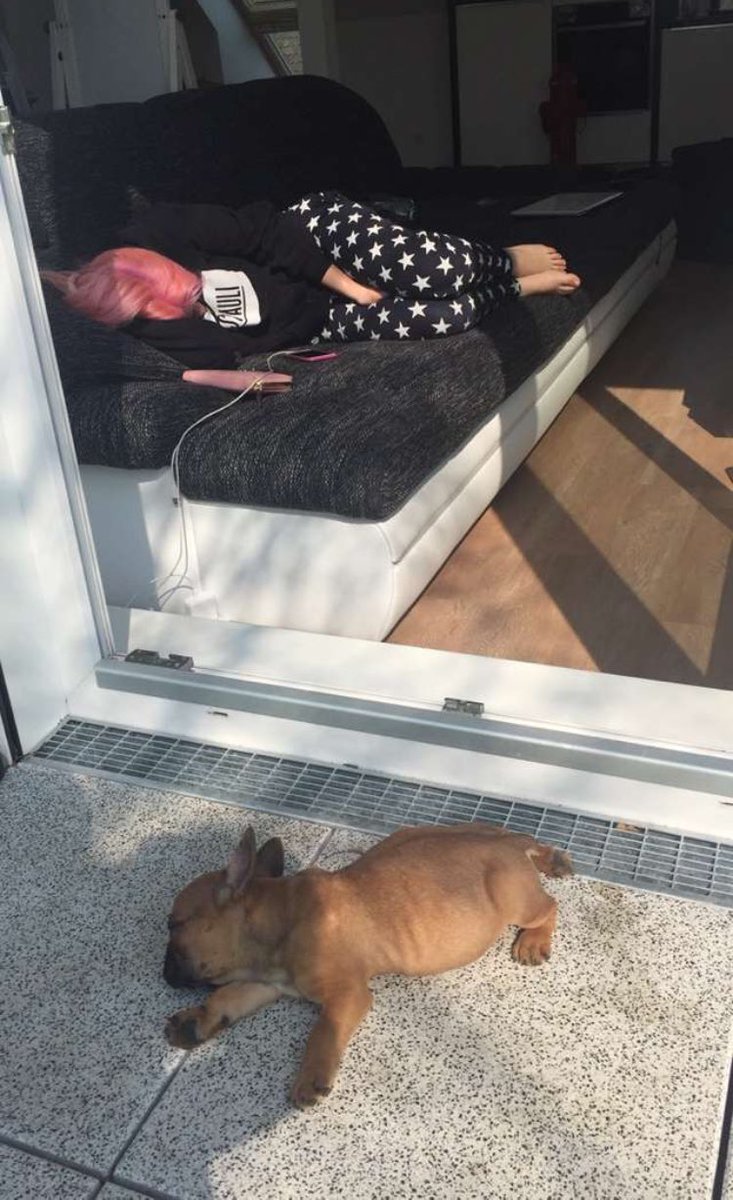 ShirinDavid's tweet photo. Jeder so wie er Bock hat.
🐅 + 💁🏼 = ❤️ https://t.co/E2Go2tkrG1