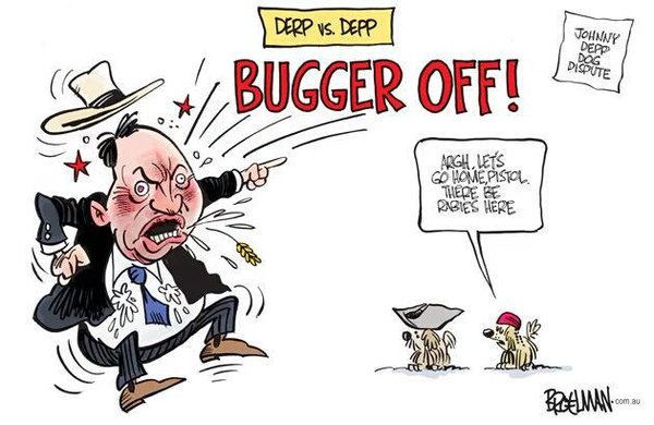 otiose94's tweet photo. #Nats, #joyceb Depp Dogs by @broelman © https://t.co/LtQQWjT5oj #BanksRC https://t.co/1d0spIbQsQ #auspol 😄