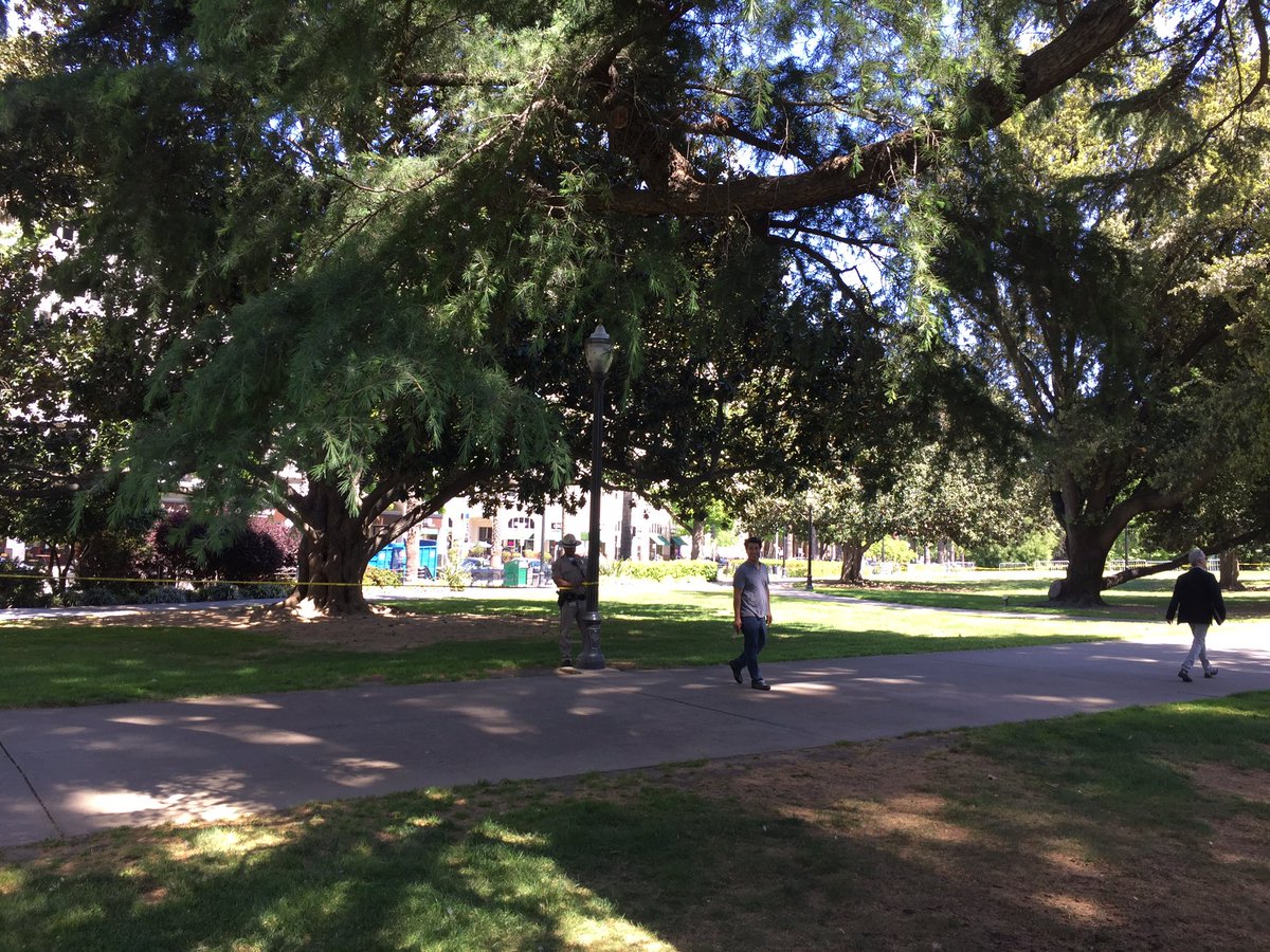 ccadelago's tweet photo. Entire of L Street between 10th and 12th shut down in front of the state Capitol. Police chopper overhead. https://t.co/f2e5thEo9h