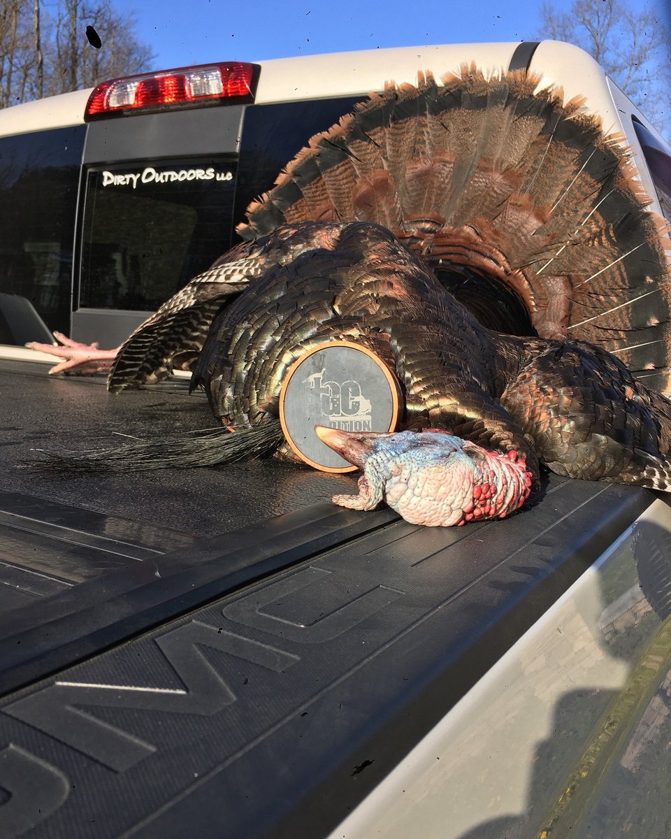 Timmy Valentine used the heartbreaker to seal the deal with this long beard