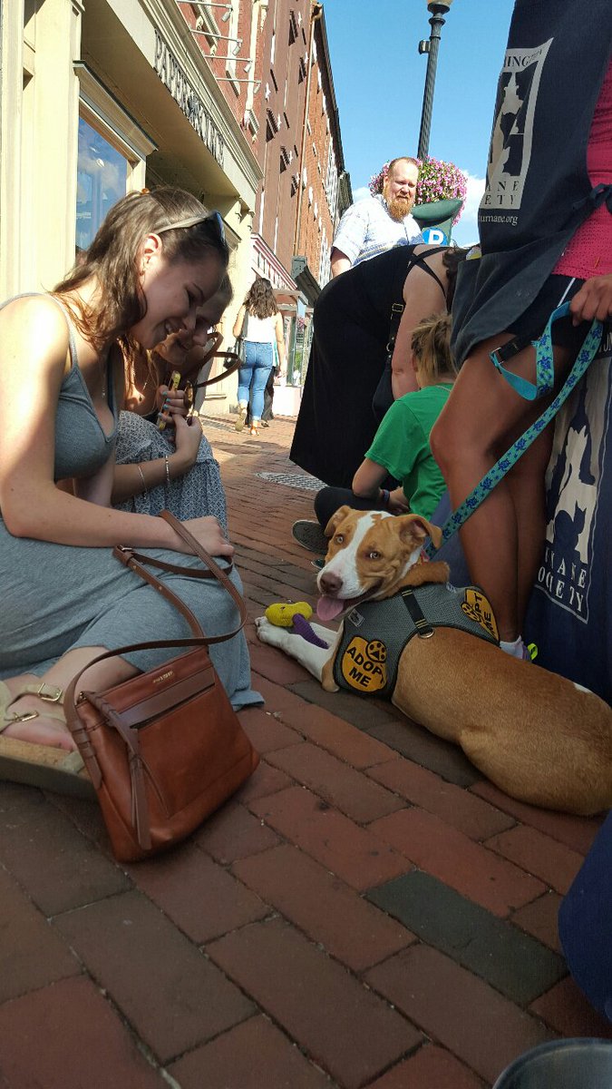 HumaneRescue's tweet photo. Enjoy the pretty weather w #AdoptForceOne at @UnleashedPetco in Georgetown Sun from 12-3 pm! https://t.co/rtefsqdbn3 https://t.co/T60RBeGKXU