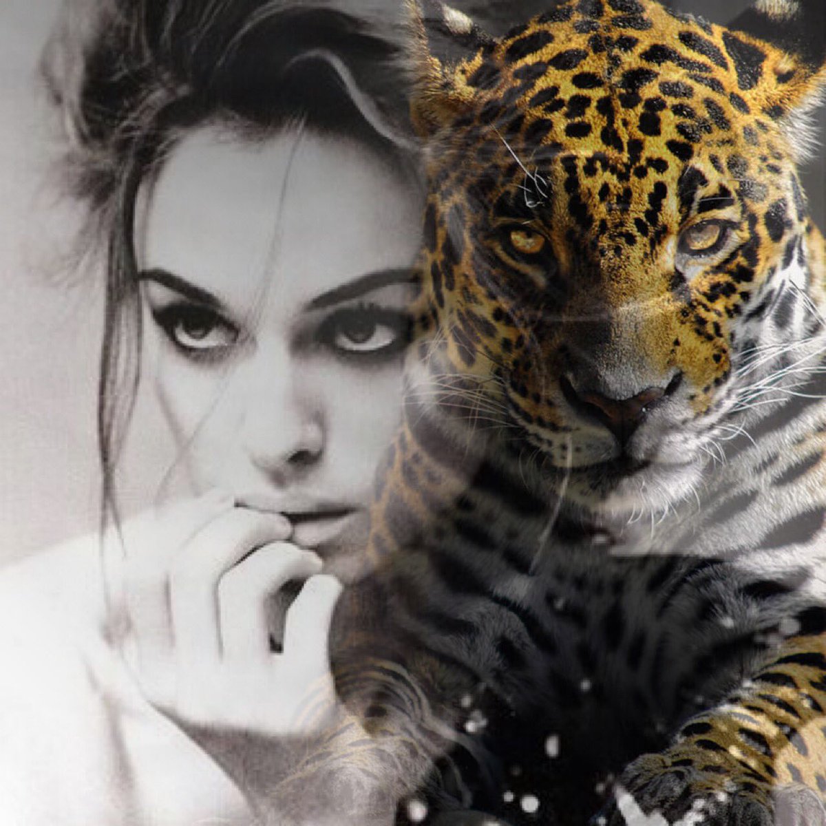 CapsizedJane's tweet image. •And you could have it all,
My empire of dirt.
I will let you down.
I will make you hurt.•