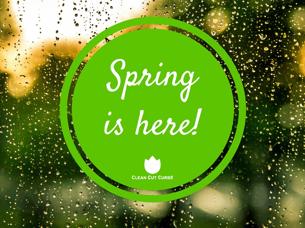 CleanCutCurbs's tweet image. Spring is here and the storm last night is really getting things growing. Call us, we can help! 405.535.3039