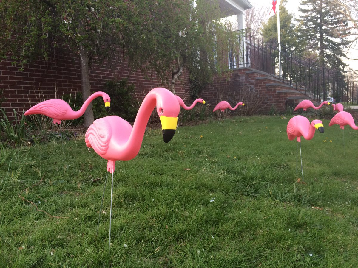 jongsmjo's tweet photo. Episcopal Church in Verona has been #flamingoed. https://t.co/lDJtwz21Pj