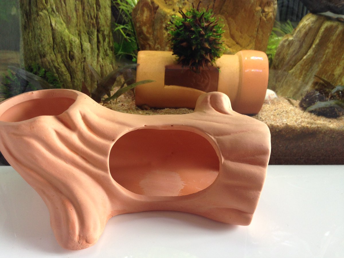 E T 趣味垢 Ar Twitter ダイソーで木の水槽アクセ買ってきて土管sと並べると大きいですね 本当は雪見灯篭を買いたかったのですが 穴が丁度ベタが挟まる危険のある大きさだったので断念しました