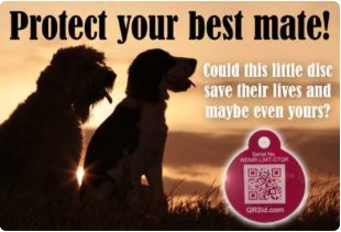 What better way to protect your family friend than with a QR2id tag. qr2id.com/au/personal/ for more products!