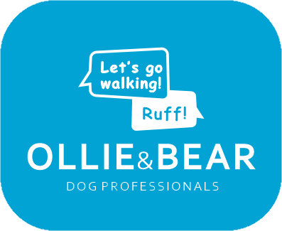 olliebearsf's tweet image. ollieandbear.com
Dog Professionals in SF
