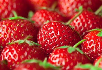 esweedcontrol's tweet image. RT @planet_natural "Tips for growing strawberries; a favorite in the #organic #garden https://t.co/I2bBqzVGV3" ow.ly/4mOd7E