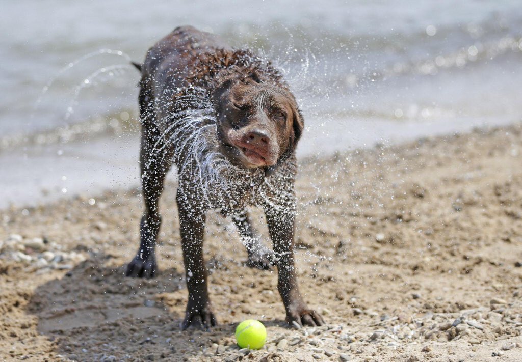 Susan Schrank (@susanmschrank) | Twitter