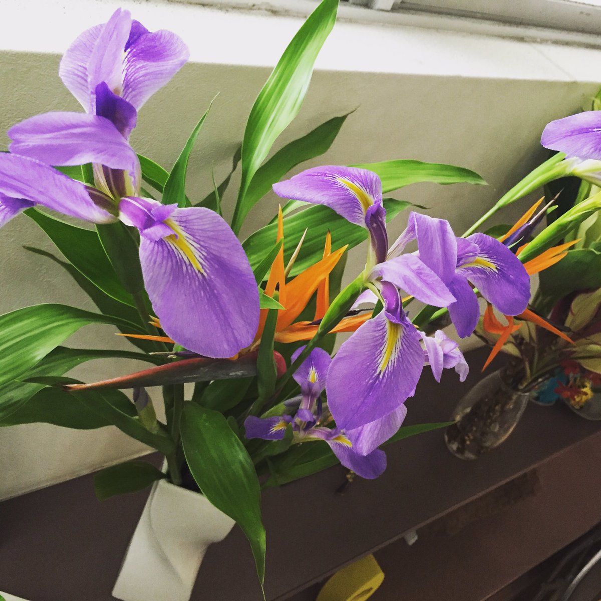 オクラレルカ Twitter Search