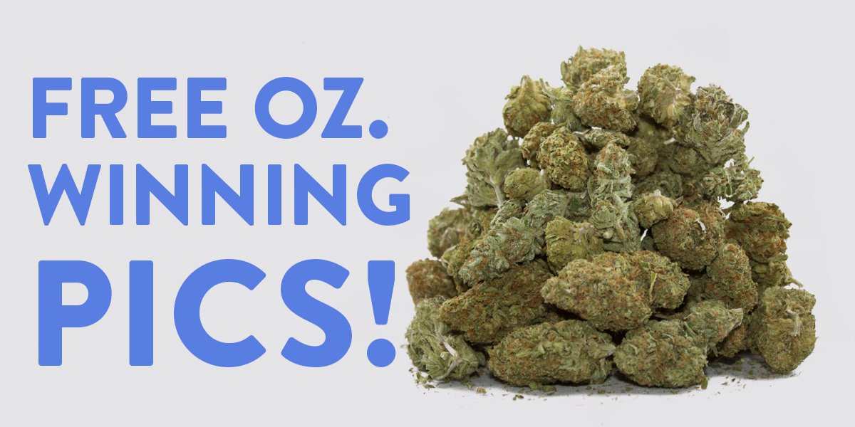 Eaze_MD's tweet photo. These pics won 8 #Eaze followers a #FreeOunce for 4/20! Congrats winners! https://t.co/QPpFHrY7Kx #MarijuanaWeek https://t.co/79Hf31JaOa