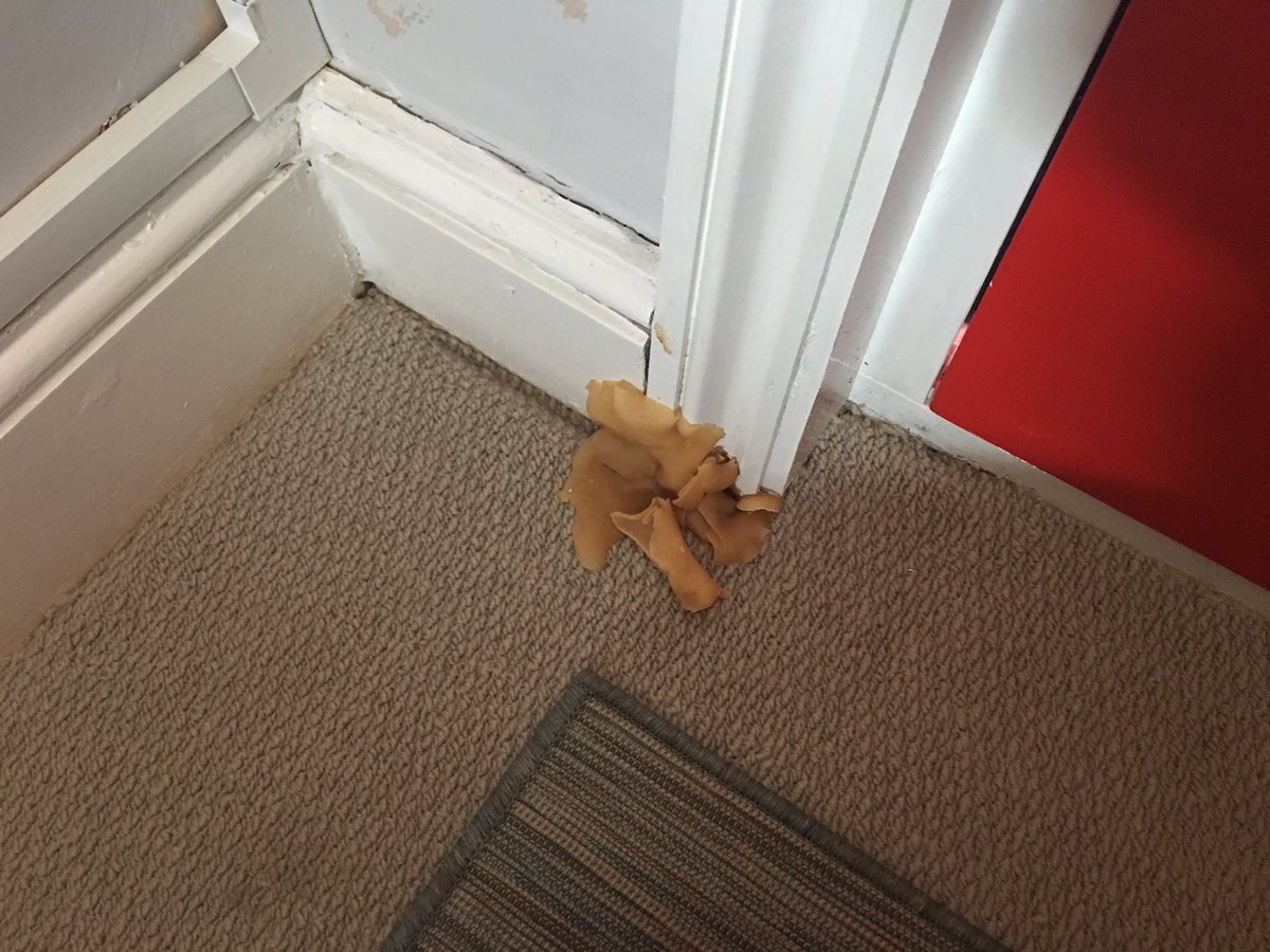 RefreshPSC's tweet image. We love mushrooms but prefer them in a fry up.