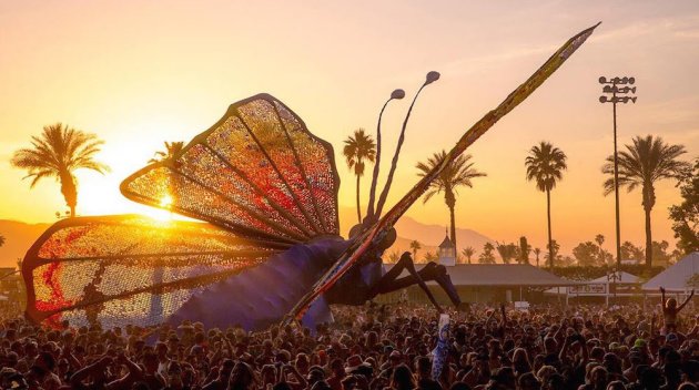 Brendon O'Connor tweet media