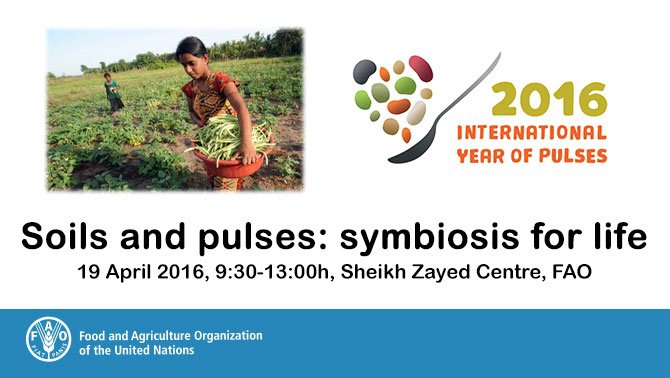 FAOKnowledge's tweet photo. Webcast now! Positive impacts of the close relationship between soils &amp; pulses https://t.co/KNe1guvMUA #IYP2016 https://t.co/jgo8lkvBuF