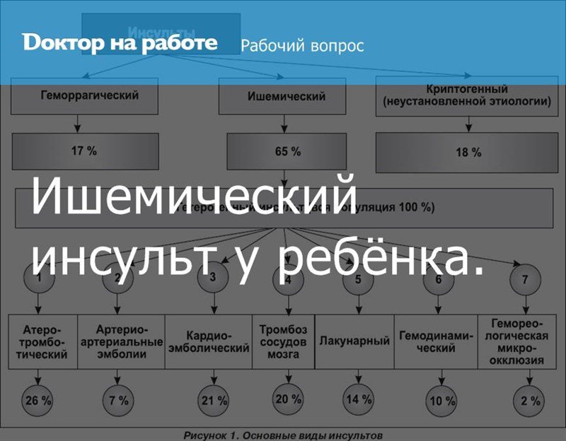 book методические рекомендации по проведению преддипломной производственной практики для студентов 5 курса дневного отделения специальность 080502 экономика и управление