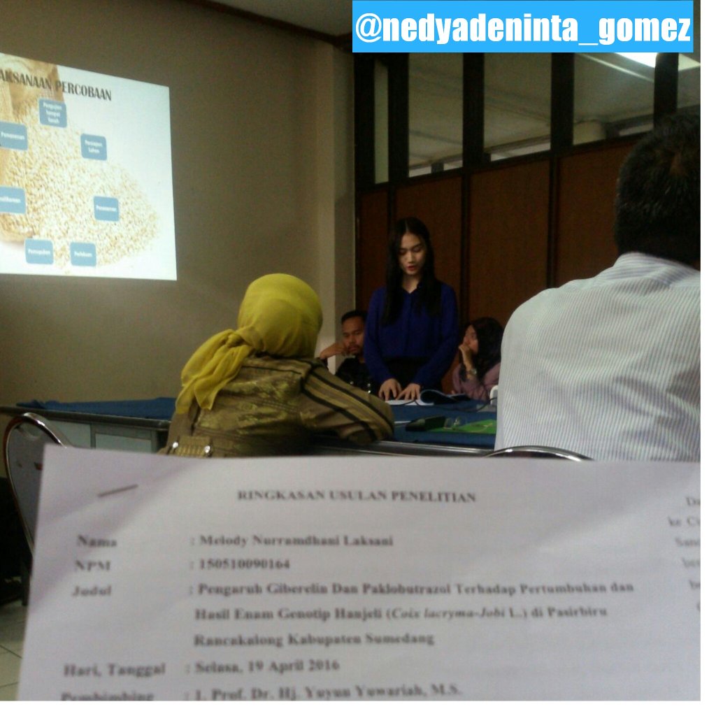 SharePict 48 tweet media