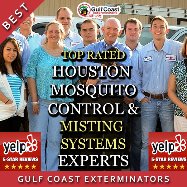 GCEPests's tweet photo. Benefits Of #Mosquito Misting Systems In #Houston - Hint (Safer for #kids than DEET Sprays) https://t.co/yPjQu6oGjB https://t.co/dEGHwXkC6M
