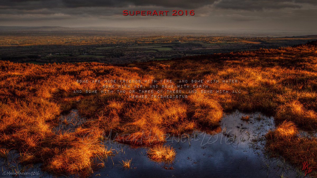 Mark Marnell tweet media