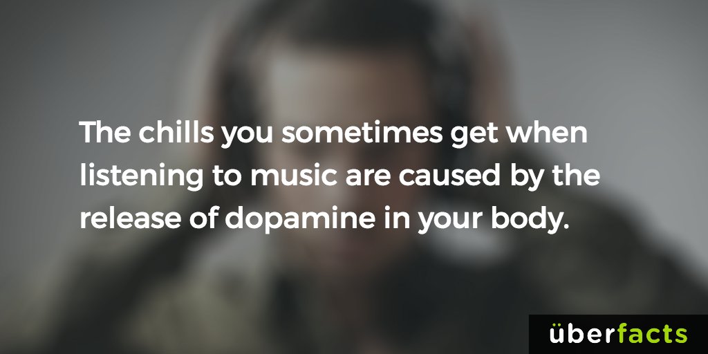 UberFacts tweet picture